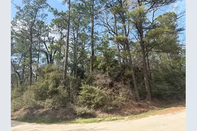 Tbd Little Ponderosa Drive, Onalaska, TX 77360 - Photo 4