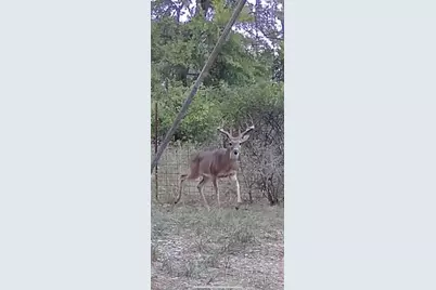 Tbd Private Road 1019, Hallettsville, TX 77964 - Photo 30