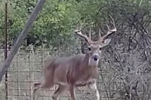 Tbd Private Road 1019, Hallettsville, TX 77964 - Photo 30