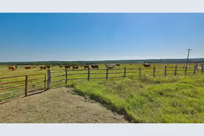 Tract #7 Cr 305 Road, Navasota, TX 77868 - Photo 6