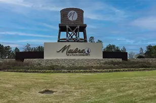 14407 Cardinal Frst Dr, Conroe, TX 77302 - Photo 48