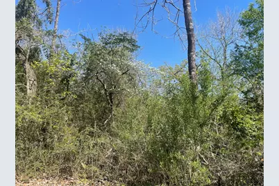 9214 County Road 393, Jewett, TX 75846 - Photo 14