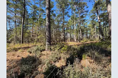 020 Private Road 6028, Brookeland, TX 75931 - Photo 4