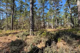 020 Private Road 6028, Brookeland, TX 75931 - Photo 4