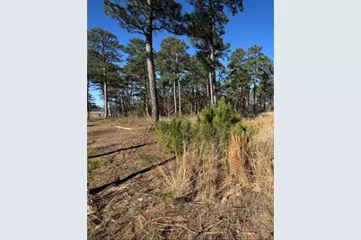 020 Private Road 6028, Brookeland, TX 75931 - Photo 16