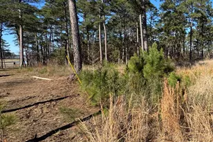 020 Private Road 6028, Brookeland, TX 75931 - Photo 16