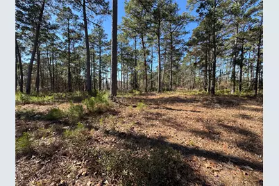 020 Private Road 6028, Brookeland, TX 75931 - Photo 8