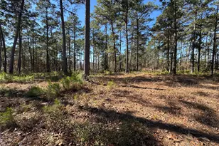 020 Private Road 6028, Brookeland, TX 75931 - Photo 8