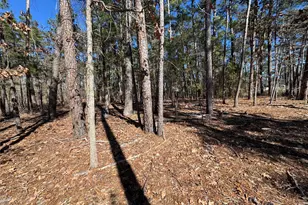 020 Private Road 6028, Brookeland, TX 75931 - Photo 2