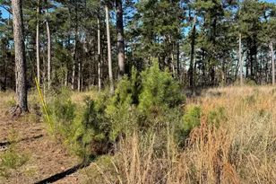 020 Private Road 6028, Brookeland, TX 75931 - Photo 12