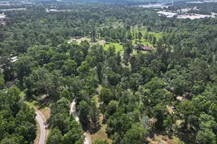 1 Hilo Ln, Conroe, TX 77303 - Photo 8