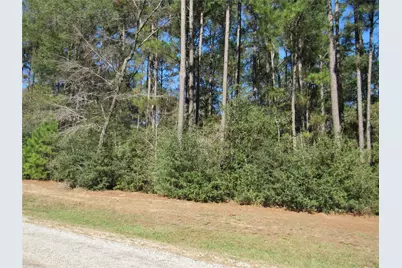 Tbd Winchester Road, Huntsville, TX 77340 - Photo 6