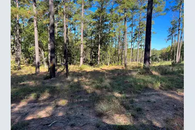 021 Private Rd 6028, Brookeland, TX 75931 - Photo 6