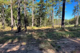 021 Private Rd 6028, Brookeland, TX 75931 - Photo 6