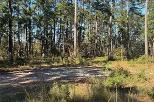 021 Private Rd 6028, Brookeland, TX 75931 - Photo 18