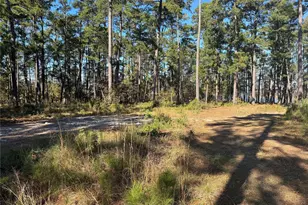 021 Private Rd 6028, Brookeland, TX 75931 - Photo 2