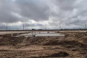 26235 Venus Trap Trail, Katy, TX 77493 - Photo 2