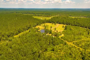 375 Co Rd 3560, Woodville, TX 75979 - Photo 36