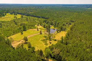 375 Co Rd 3560, Woodville, TX 75979 - Photo 34