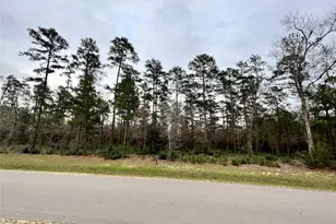 Tbd7 Lily Bean, Montgomery, TX 77316 - Photo 1