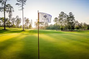 Tbd7 Lily Bean, Montgomery, TX 77316 - Photo 26