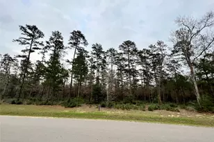 Tbd7 Lily Bean, Montgomery, TX 77316 - Photo 2