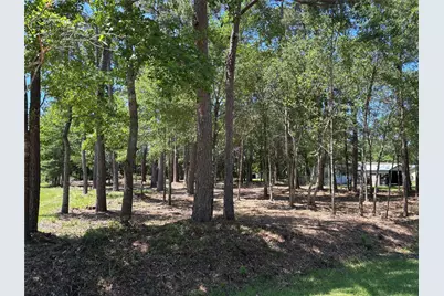 0 Bear Branch, Magnolia, TX 77354 - Photo 4