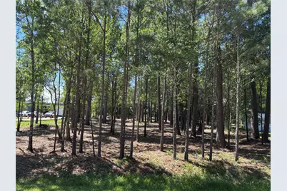 0 Bear Branch, Magnolia, TX 77354 - Photo 2