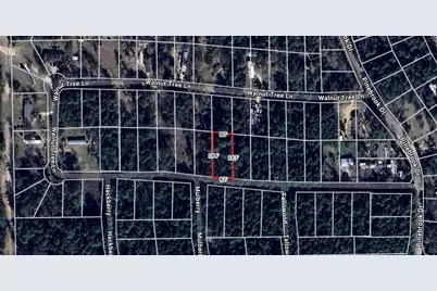 Lot 28 Sycamore Lane, Plantersville, TX 77363 - Photo 6