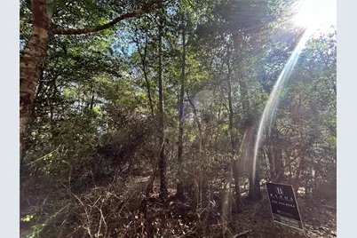 Lot 28 Sycamore Lane, Plantersville, TX 77363 - Photo 4