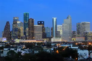1607 Roy St, Houston, TX 77007 - Photo 50