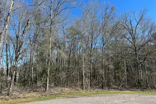 1 24 Ac Circle 5, Orange, TX 77632 - Photo 1