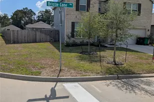 16878 Bristle Cone Wy, Conroe, TX 77302 - Photo 2