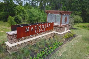 406 Southern Magnolia Wy, Magnolia, TX 77354 - Photo 24