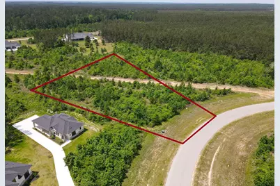 16089 Forest Mill Road, Willis, TX 77378 - Photo 1