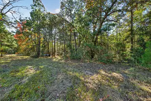 Tbd Boars Head, Montgomery, TX 77316 - Photo 1