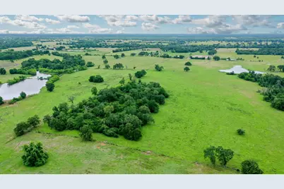 000 Pleasant Grove, Iola, TX 77861 - Photo 4