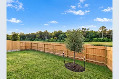 395 Sunrise Ranch Drive, Conroe, TX 77316 - Photo 22