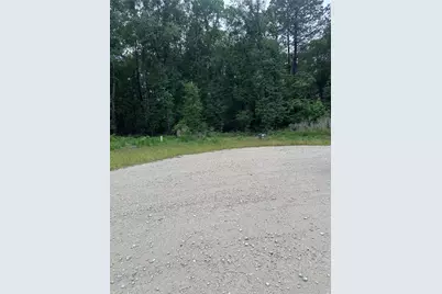 149 Hollow Hill Drive, New Waverly, TX 77340 - Photo 6