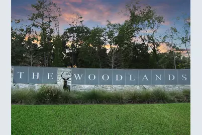 79 N Gary Glen Circle, The Woodlands, TX 77382 - Photo 48