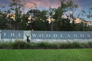79 N Gary Glen Cir, The Woodlands, TX 77382 - Photo 48