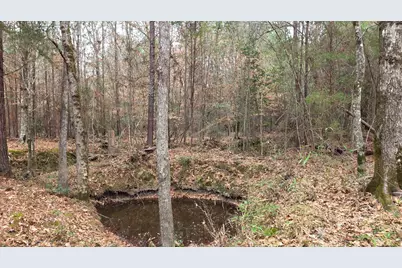 10441 US 287, Chester, TX 75936 - Photo 20