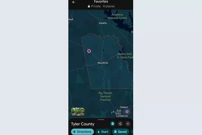 10441 US 287, Chester, TX 75936 - Photo 2