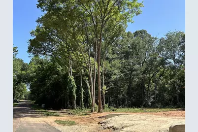 0 Royal Creek Road, Willis, TX 77303 - Photo 8