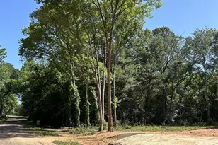 0 Royal Creek Rd, Willis, TX 77303 - Photo 8