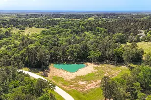 Lot 13 Spring Branch Rd, Montgomery, TX 77316 - Photo 14