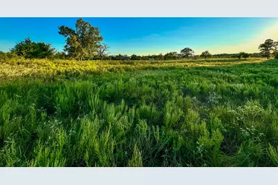 T-5 Hoke Road, Richards, TX 77873 - Photo 12