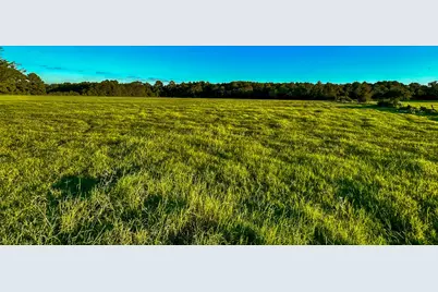 T-5 Hoke Road, Richards, TX 77873 - Photo 2