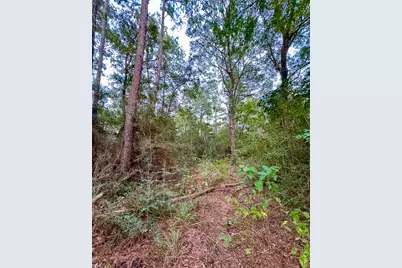 T-5 Hoke Road, Richards, TX 77873 - Photo 24