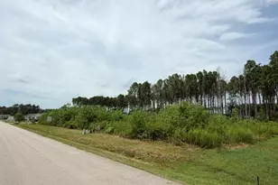 214 County Road 6614, Dayton, TX 77535 - Photo 1